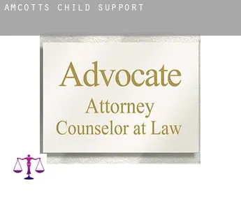 Amcotts  child support