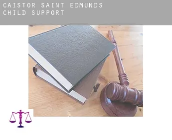 Caistor Saint Edmunds  child support