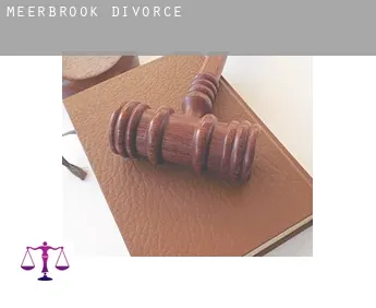 Meerbrook  divorce