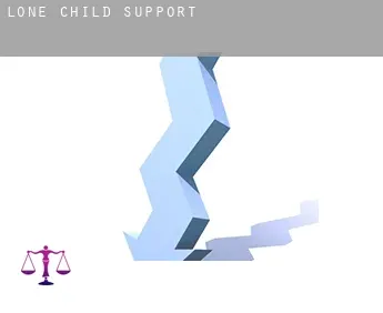 Lone  child support