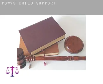 Powys  child support