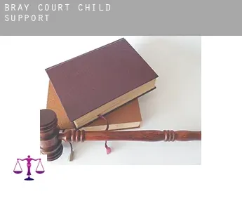 Bray Court  child support