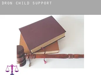 Dron  child support