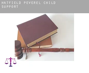 Hatfield Peverel  child support