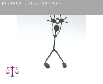 Bicknor  child support