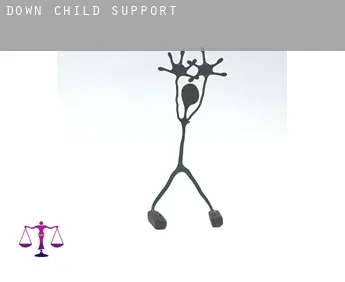 Down  child support