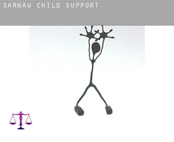 Sarnau  child support