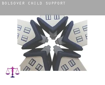 Bolsover  child support