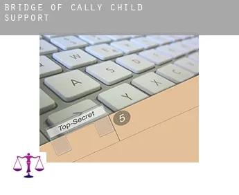 Bridge of Cally  child support