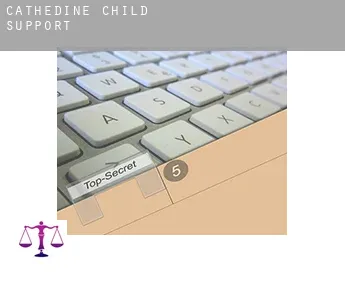 Cathedine  child support