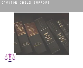 Cawston  child support