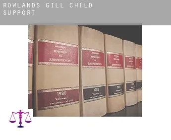 Rowlands Gill  child support