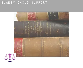 Blaney  child support