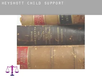 Heyshott  child support