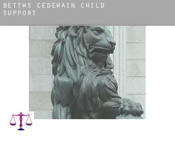 Bettws Cedewain  child support