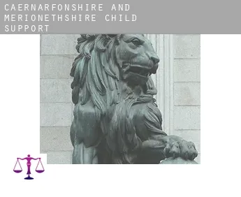 Caernarfonshire and Merionethshire  child support