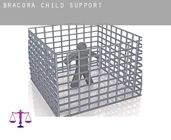 Bracora  child support