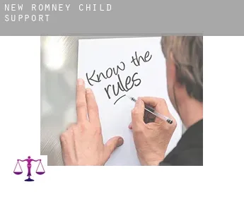 New Romney  child support