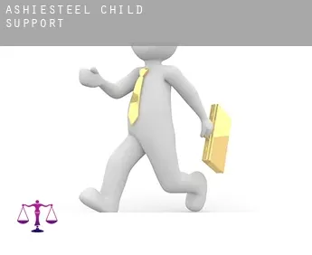 Ashiesteel  child support