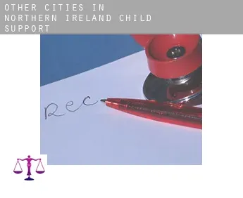 Other cities in Northern Ireland  child support