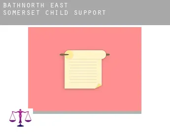 Bath and North East Somerset  child support