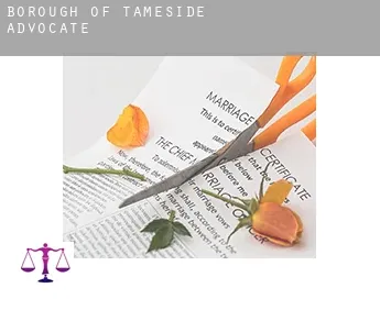 Tameside (Borough)  advocate