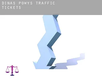 Dinas Powys  traffic tickets